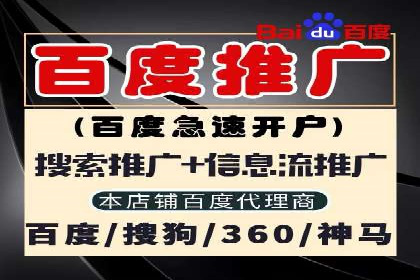 深入解析SEM账户竞价运营成功案例
